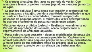 *– Os grandes arrastões: Nos lagos no período do verão. Que
arrastam e levam os peixes maiores jogando os menores já mortos
na água.
*– As grandes bobuias: É uma pesca que também e prejudicial nos
rios amazonas e tapajós, devido a quantidade de malhadeiras que
é usada em frente as comunidades, tomando o espaço do
pescador de pequeno arreios. E muitas das vezes desrespeitando
os acordos e conselhos de pesca na região onde existe.
*-Pesca em época proibida (defeso) – Realizada normalmente no
Período de reprodução dos animais, acaba prejudicando o
repovoamento do ambiente aquático.
* -Pesca seletiva com descarte – algumas modalidades de pesca são
incrivelmente seletivas e altamente predatórias. Captura-se o
animal para obter uma pequena porção de seu corpo, descartando
a maior parte de sua estrutura física no próprio local da pesca.
Isso ocorre por exemplo com a retirada das barbatanas dos
cações.
 