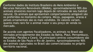 Conforme dados do Instituto Brasileiro do Meio Ambiente e
Recursos Naturais Renováveis (IBAMA), aproximadamente 90% dos
animais silvestres morrem logo depois de retirados de seu habitat
natural. Os animais que apresentam comportamento amigável são
os preferidos no momento da compra. Micos, papagaios, araras e
peixes ornamentais são os mais vendidos. Os valores variam,
quanto mais raro for o animal maior o seu preço de venda no
mercado.
De acordo com agentes fiscalizadores, os animais no Brasil são
retirados principalmente dos Estados da Bahia, Piauí, Pernambuco,
Maranhão, Paraíba e Ceará. Os principais centros consumidores são
os Estados de São Paulo e Rio de Janeiro. Aproximadamente 90%
dos animais capturados no Brasil são comercializados no próprio
território nacional.
 
