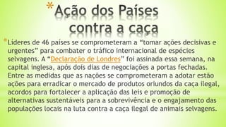 *
*Líderes de 46 países se comprometeram a “tomar ações decisivas e
urgentes” para combater o tráfico internacional de espécies
selvagens. A “Declaração de Londres” foi assinada essa semana, na
capital inglesa, após dois dias de negociações a portas fechadas.
Entre as medidas que as nações se comprometeram a adotar estão
ações para erradicar o mercado de produtos oriundos da caça ilegal,
acordos para fortalecer a aplicação das leis e promoção de
alternativas sustentáveis para a sobrevivência e o engajamento das
populações locais na luta contra a caça ilegal de animais selvagens.
 