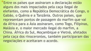 *Entre os países que assinaram a declaração estão
alguns dos mais impactados pela caça ilegal de
elefantes, como a República Democrática do Congo, o
Gabão, o Quênia e a Tanzânia. Outros países, que
representam pontos de passagem do marfim que vai
da África para a Ásia assinaram, como Togo, Filipinas,
Malásia e, o maior mercado ilegal do marfim, a
China. África do Sul, Moçambique e Vietnã, afetados
pela caça dos rinocerontes, também participaram das
negociações e aceitaram o acordo.
 
