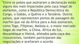 *Entre os países que assinaram a declaração estão
alguns dos mais impactados pela caça ilegal de
elefantes, como a República Democrática do
Congo, o Gabão, o Quênia e a Tanzânia. Outros
países, que representam pontos de passagem do
marfim que vai da África para a Ásia assinaram,
como Togo, Filipinas, Malásia e, o maior mercado
ilegal do marfim, a China. África do Sul,
Moçambique e Vietnã, afetados pela caça dos
rinocerontes, também participaram das
negociações e aceitaram o acordo.
 