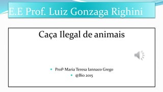 E.E Prof. Luiz Gonzaga Righini
Caça Ilegal de animais
 Profª Maria Teresa Iannaco Grego
 @Bio 2015
 
