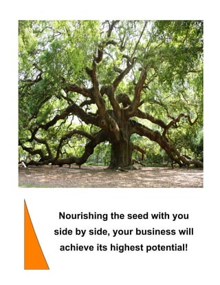 Nourishing the seed with you
side by side, your business will
achieve its highest potential!
 