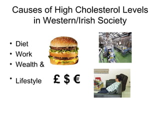 Causes of High Cholesterol Levels
in Western/Irish Society
• Diet
• Work
• Wealth &
• Lifestyle £ $ €
 