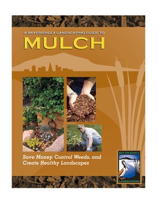 A BAY-FRIENDLY LANDSCAPING GUIDE TO
A BAY-FRIENDLY LANDSCAPING GUIDE TO



MULCH




Save Money, Control Weeds, and
Create Healthy Landscapes
 