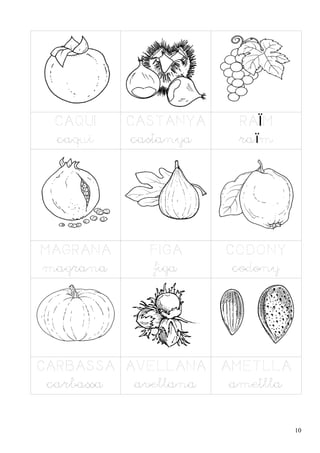 CAQUI    CASTANYA      RAÏM
 caqui     castanya     raïm




MAGRANA     FIGA      CODONY
magrana     figa       codony




CARBASSA AVELLANA     AMETLLA
 carbassa avellana     ametlla


                                 10
 