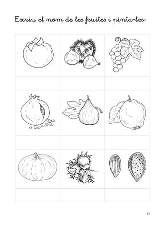 Escriu el nom de les fruites i pinta-les:




                                            13
 