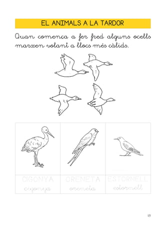 EL ANIMALS A LA TARDOR

Quan comença a fer fred alguns ocells
marxen volant a llocs més càlids.




 CIGONYA      ORENETA     ESTORNELL
  cigonya      oreneta      estornell


                                        15
 