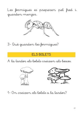 Les formigues es preparen pel fred i
guarden menjar.




3- Què guarden les formigues?


                ELS BOLETS

A la tardor els bolets creixen als boscos.




1- On creixen els bolets a la tardor?




                                             17
 