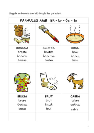 Llegeix amb molta atenció i copia les paraules:

          PARAULES AMB BR – br – br - br




      BROSSA                  BROTXA              BROU
       brossa                  brotxa              brou
       brossa                 brotxa              brou
        brossa                  brotxa             brou




       BRUSA                    BRUT              CABRA
        brusa                   brut               cabra
       brusa                    brut              cabra
        brusa                    brut             cabra




                                                           5
 