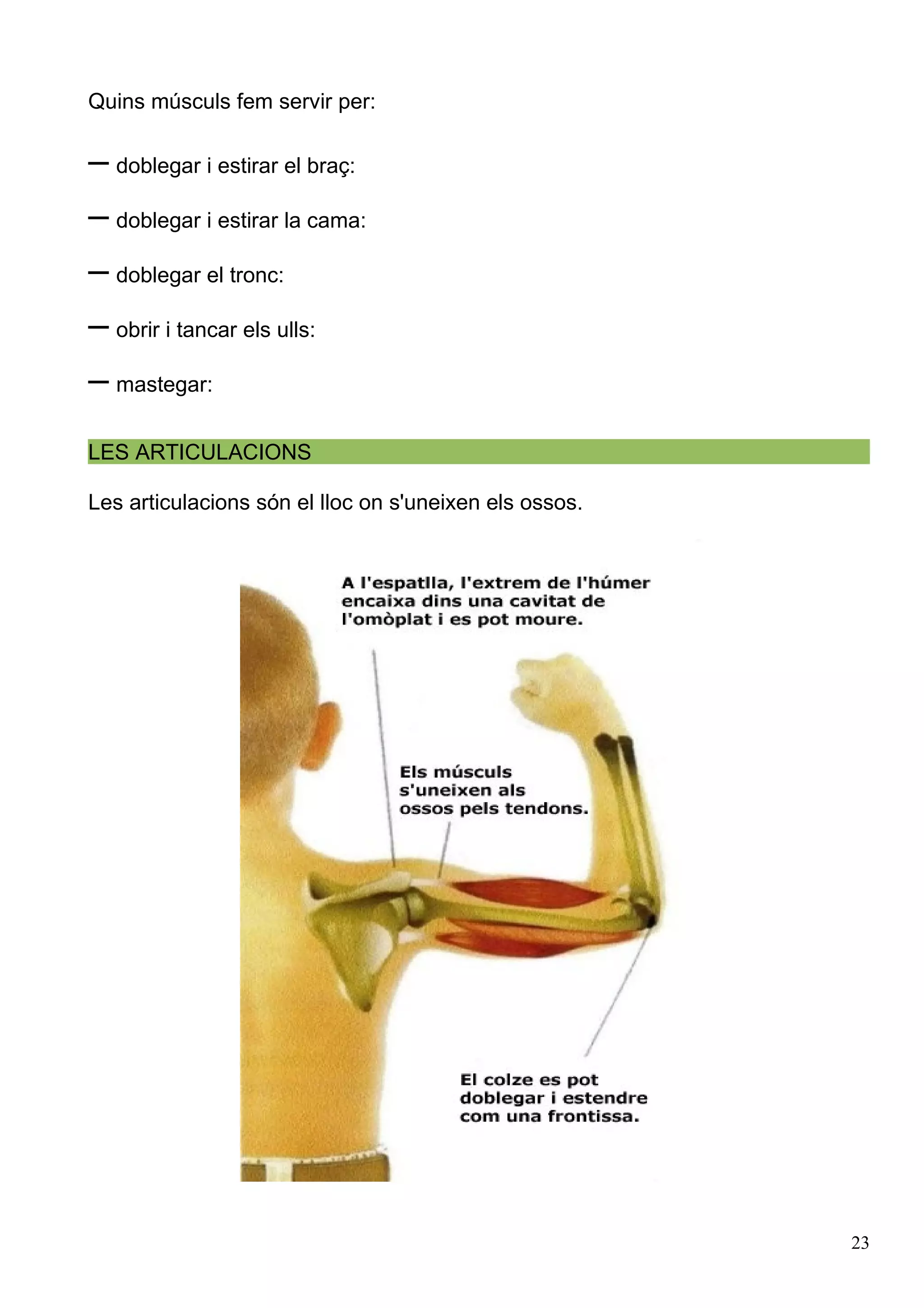 Caaco Caaco dos 1213_mt061_r1_aparell_locomotor | PDF