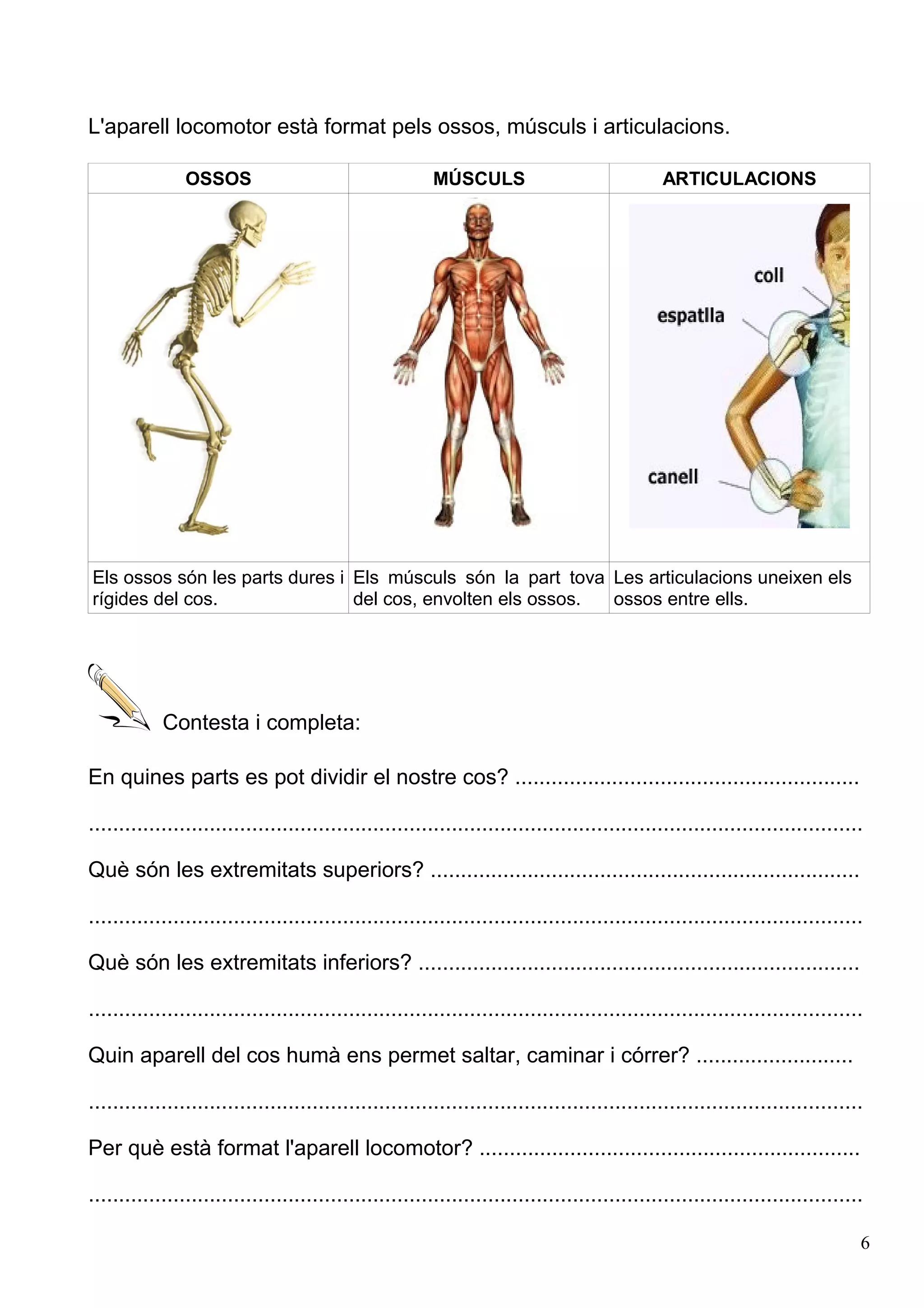 Caaco Caaco dos 1213_mt061_r1_aparell_locomotor | PDF