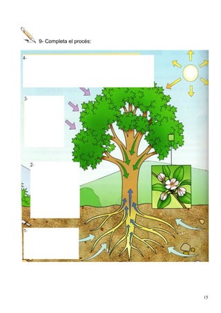 9- Completa el procés:




                         15
 