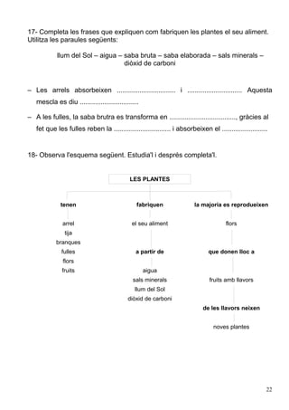 17- Completa les frases que expliquen com fabriquen les plantes el seu aliment.
Utilitza les paraules següents:
llum del Sol – aigua – saba bruta – saba elaborada – sals minerals –
diòxid de carboni
– Les arrels absorbeixen ............................... i ............................. Aquesta
mescla es diu ...............................
– A les fulles, la saba brutra es transforma en ..................................., gràcies al
fet que les fulles reben la .............................. i absorbeixen el ........................
18- Observa l'esquema següent. Estudia'l i després completa'l.
LES PLANTES
tenen fabriquen la majoria es reprodueixen
arrel el seu aliment flors
tija
branques
fulles a partir de que donen lloc a
flors
fruits aigua
sals minerals fruits amb llavors
llum del Sol
diòxid de carboni
de les llavors neixen
noves plantes
22
 
