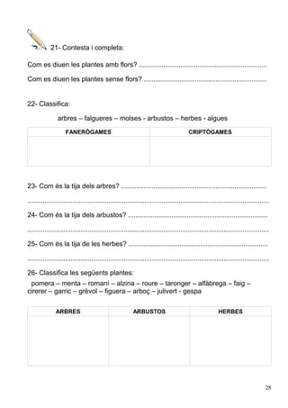 21- Contesta i completa:
Com es diuen les plantes amb flors? ....................................................................
Com es diuen les plantes sense flors? .................................................................
22- Classifica:
arbres – falgueres – molses - arbustos – herbes - algues
FANERÒGAMES CRIPTÒGAMES
23- Com és la tija dels arbres? .............................................................................
................................................................................................................................
24- Com és la tija dels arbustos? ..........................................................................
................................................................................................................................
25- Com és la tija de les herbes? ..........................................................................
................................................................................................................................
26- Classifica les següents plantes:
pomera – menta – romaní – alzina – roure – taronger – alfàbrega – faig –
cirerer – garric – grèvol – figuera – arboç – julivert - gespa
ARBRES ARBUSTOS HERBES
28
 