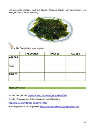 Les persones utilitzen molt les algues. Algunes algues són comestibles (es
mengen com si fossin verdura).
28- Completa la taula següent:
FALGUERES MOLSES ALGUES
ARRELS
TIJA
FULLES
ACTIVITATS TIC
1- Jclic Les plantes: http://clic.xtec.cat/db/act_es.jsp?id=3506
2- Jclic, Coneixement del medi natural, social i cultural:
http://clic.xtec.cat/db/act_ca.jsp?id=3080
3- La reproducció de les plantes: http://clic.xtec.cat/db/act_ca.jsp?id=2164
33
 
