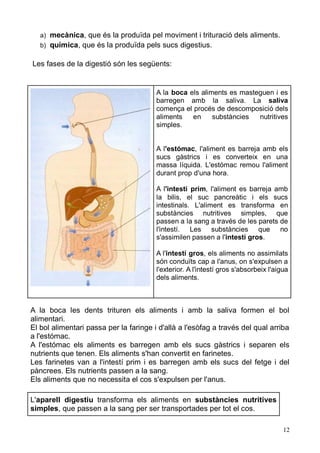 12 
a) mecànica, que és la produïda pel moviment i trituració dels aliments. 
b) química, que és la produïda pels sucs digestius. 
Les fases de la digestió són les següents: 
A la boca els aliments es masteguen i barregen amb la saliva. La saliva comença el procés de descomposició dels aliments en substàncies nutritives simples. 
A l'estómac, l'aliment es barreja amb els sucs gàstrics i es converteix en una massa líquida. L'estómac remou l'aliment durant prop d'una hora. 
A l'intestí prim, l'aliment es barreja amb la bilis, el suc pancreàtic i els sucs intestinals. L'aliment es transforma en substàncies nutritives simples, que passen a la sang través de les parets l'intestí. Les substàncies que no s'assimilen passen a l'intestí gros. 
A l'intestí gros, els aliments no assimilats són conduïts cap a l'anus, on s'expulsen l'exterior. A l'intestí gros s'absorbeix l'aigua dels aliments. 
A la boca les dents trituren els aliments i amb saliva formen el bol alimentari. 
El bol alimentari passa per la faringe i d'allà a l'esòfag través del qual arriba a l'estómac. 
A l'estómac els aliments es barregen amb els sucs gàstrics i separen nutrients que tenen. Els aliments s'han convertit en farinetes. 
Les farinetes van a l'intestí prim i es barregen amb els sucs del fetge pàncrees. Els nutrients passen a la sang. 
Els aliments que no necessita el cos s'expulsen per l'anus. 
L'aparell digestiu transforma els aliments en substàncies nutritives simples, que passen a la sang per ser transportades tot el cos.  