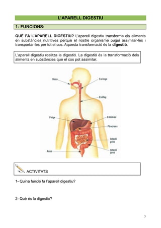 3 L’APARELL DIGESTIU 
1- FUNCIONS: 
QUÈ FA L’APARELL DIGESTIU? L'aparell digestiu transforma els aliments en substàncies nutritives perquè el nostre organisme pugui assimilar-les i transportar-les per tot el cos. Aquesta transformació és la digestió. 
L'aparell digestiu realitza la digestió. La digestió és transformació dels aliments en substàncies que el cos pot assimilar. 
ACTIVITATS 
1- Quina funció fa l’aparell digestiu? 
2- Què és la digestió? 
 