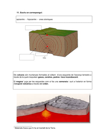 11. Escriu on correspongui: 
epicentre - hipocentre - ones sísmiques 
Els volcans són muntanyes formades al voltant d’una esquerda de l’escorça terrestre a 
través de la qual s’expulsen gasos, cendres, pedres i lava incandescent. 
El magma1 puja per les esquerdes com si fos una xemeneia i surt a l’exterior en forma 
d’erupció volcànica a través del cràter. 
1 Materials fosos que hi ha al mantell de la Terra. 
 