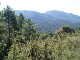 Cañada del sereno, Sierra de Huétor, Granada