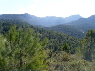 Cañada del sereno, Sierra de Huétor, Granada