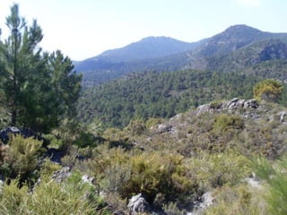 Cañada del sereno, Sierra de Huétor, Granada