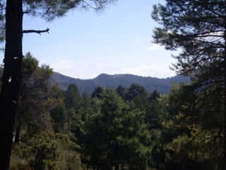 Cañada del sereno, Sierra de Huétor, Granada