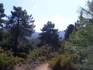 Cañada del sereno, Sierra de Huétor, Granada