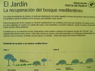 Cañada del sereno, Sierra de Huétor, Granada