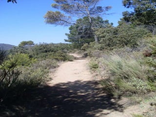 Cañada del sereno, Sierra de Huétor, Granada