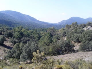 Cañada del sereno, Sierra de Huétor, Granada