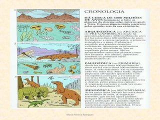 Maria Antónia Rodrigues
 