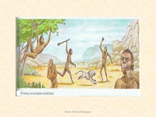 Maria Antónia Rodrigues
 