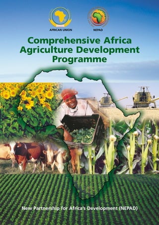AFRICAN UNION 
NEPAD 
Comprehensive Africa 
Agriculture Development 
Programme 
New Partnership for Africa’s Development (NEPAD) 
 