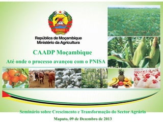 Até onde o processo avançou com o PNISA
Maputo, 09 de Dezembro de 2013
CAADP Moçambique
Seminário sobre Crescimento e Transformação do Sector Agrário
 
