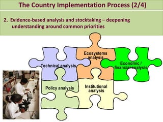 CAADP country process | PPTX