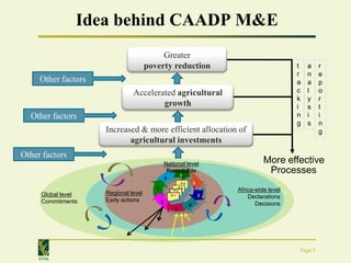 Idea behind CAADP M&E
                                           Greater
                                      poverty reduction                                          t   a    r
                                                                                                 r   n    e
     Other factors                                                                               a   a    p
                               Accelerated agricultural                                          c   l    o
                                                                                                 k   y    r
                                       growth                                                    i   s    t
  Other factors                                                                                  n   i    i
                                                                                                 g   s    n
                     Increased & more efficient allocation of                                             g
                            agricultural investments
Other factors
                                                 National level                        More effective
                                                  Roundtable
                                                           1
                                                                                        Processes
                                                 8
                                                            P4       2
                                                           P3
                                         7            P2                     Africa-wide level
      Global level   Regional level                                      3
                                                     P1
                                                                                 Declarations
      Commitments    Early actions           6
                                                                 4                  Decisions
                                                      5




                                                                                                 Page 3
     IFPRI
 