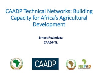 CAADP Technical Networks: Building
Capacity for Africa’s Agricultural
Development
Ernest Ruzindaza
CAADP TL
 