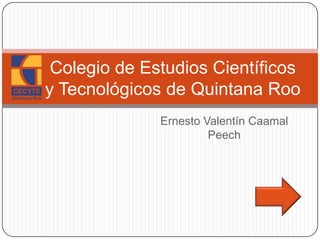 Colegio de Estudios Científicos
y Tecnológicos de Quintana Roo
              Ernesto Valentín Caamal
                       Peech
 