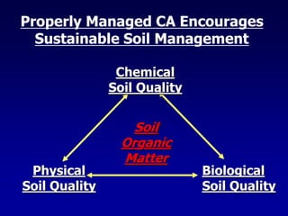 Properly Managed CA Encourages
Sustainable Soil Management
Physical
Soil Quality
Chemical
Soil Quality
Biological
Soil Quality
Soil
Organic
Matter
 