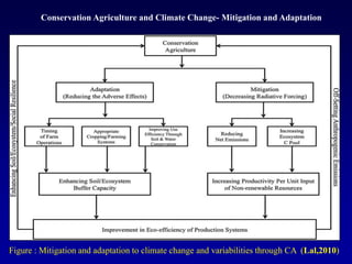 Conservation Agriculture and Climate Change- Mitigation and Adaptation
Figure : Mitigation and adaptation to climate change and variabilities through CA (Lal,2010)
 