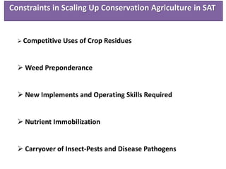 Constraints in Scaling Up Conservation Agriculture in SAT
 Competitive Uses of Crop Residues
 Weed Preponderance
 New Implements and Operating Skills Required
 Nutrient Immobilization
 Carryover of Insect-Pests and Disease Pathogens
 