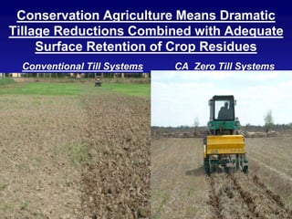 Conservation Agriculture Means Dramatic
Tillage Reductions Combined with Adequate
Surface Retention of Crop Residues
Conventional Till Systems CA Zero Till Systems
 