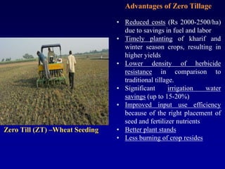 Zero Till (ZT) –Wheat Seeding
• Reduced costs (Rs 2000-2500/ha)
due to savings in fuel and labor
• Timely planting of kharif and
winter season crops, resulting in
higher yields
• Lower density of herbicide
resistance in comparison to
traditional tillage.
• Significant irrigation water
savings (up to 15-20%)
• Improved input use efficiency
because of the right placement of
seed and fertilizer nutrients
• Better plant stands
• Less burning of crop resides
Advantages of Zero Tillage
 