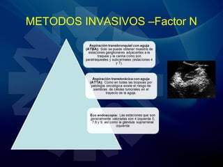 METODOS INVASIVOS –Factor N
 