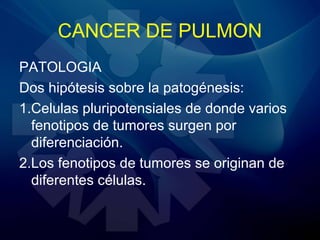 CANCER DE PULMON
PATOLOGIA
Dos hipótesis sobre la patogénesis:
1.Celulas pluripotensiales de donde varios
fenotipos de tumores surgen por
diferenciación.
2.Los fenotipos de tumores se originan de
diferentes células.
 