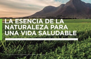 LA ESENCIA DE LA 
NATURALEZA PARA 
UNA VIDA SALUDABLE 
Descubre los fitonutrientes, vitaminas y minerales que te ayudarán a mejorar tu bienestar. 
* Fuente: Euromonitor International Limited, www.euromonitor.com/amway-claim 
 
