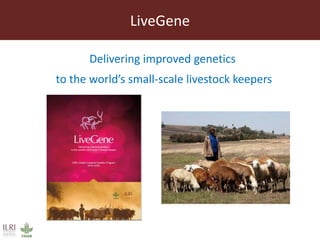 ILRI’s Livestock Genetics Program - LiveGene