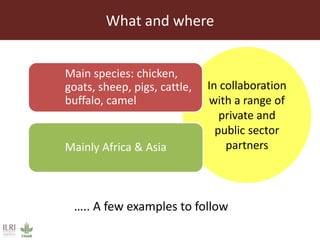 ILRI’s Livestock Genetics Program - LiveGene