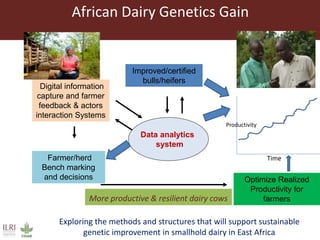ILRI’s Livestock Genetics Program - LiveGene